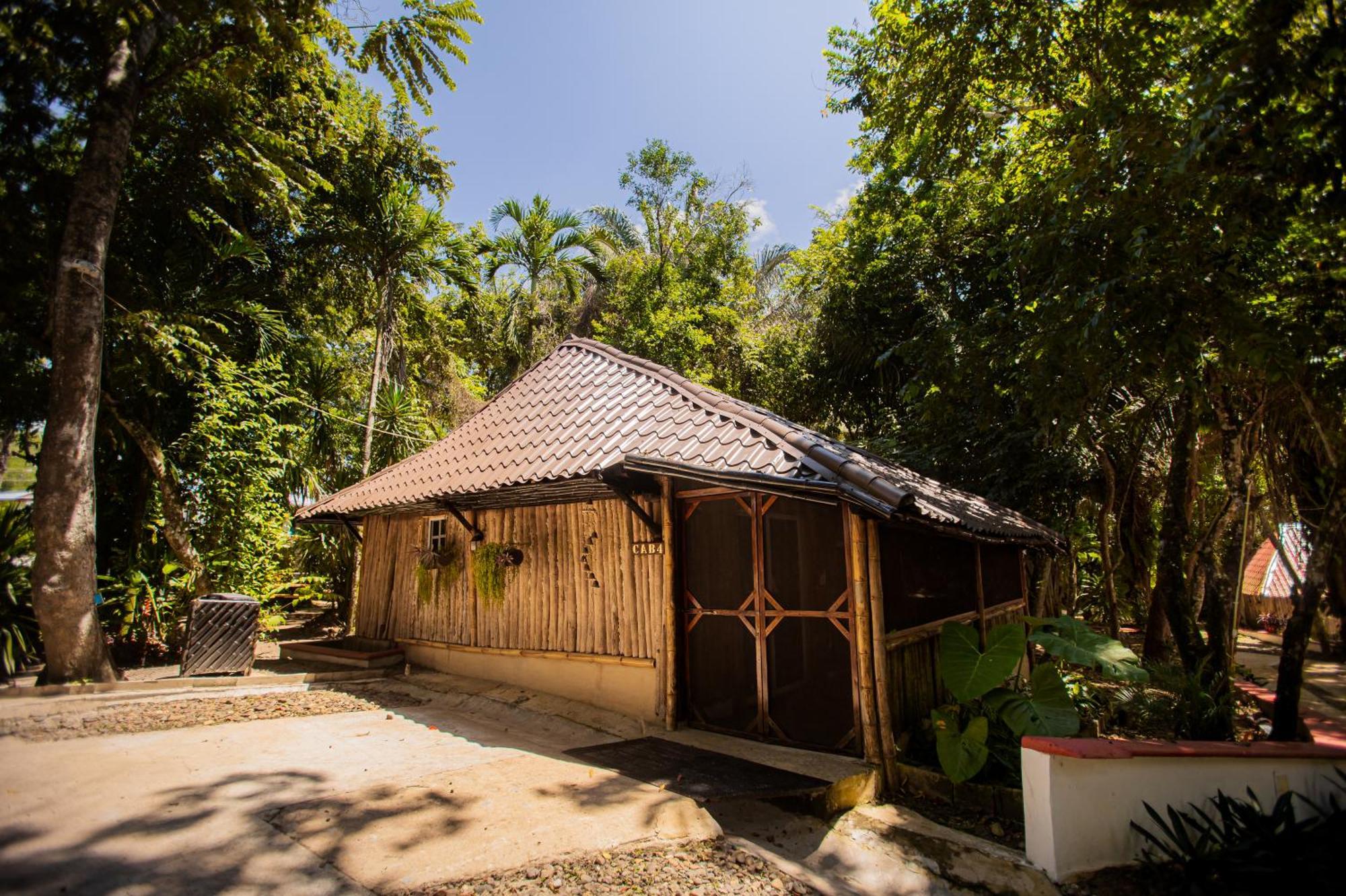Falling Leaves Lodge San Ignacio Ngoại thất bức ảnh