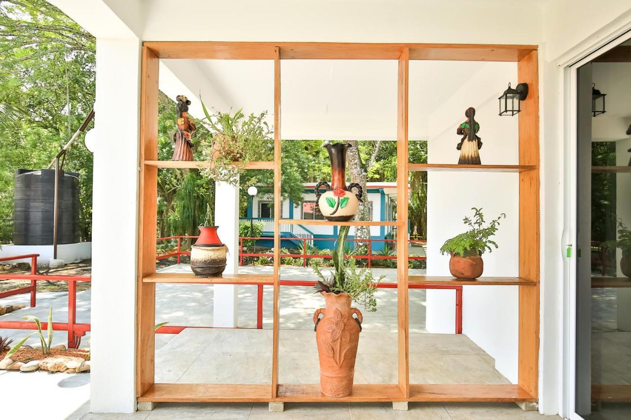 Falling Leaves Lodge San Ignacio Ngoại thất bức ảnh