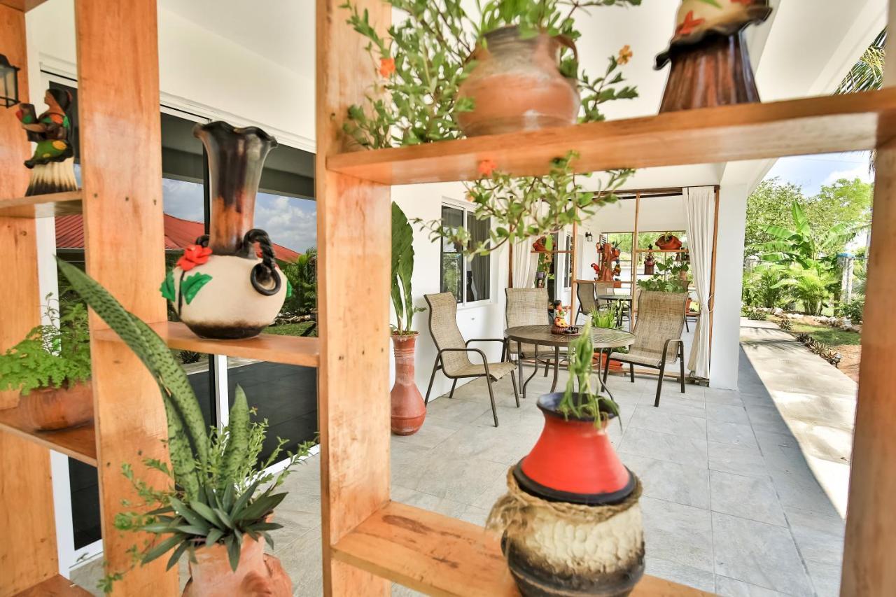 Falling Leaves Lodge San Ignacio Ngoại thất bức ảnh